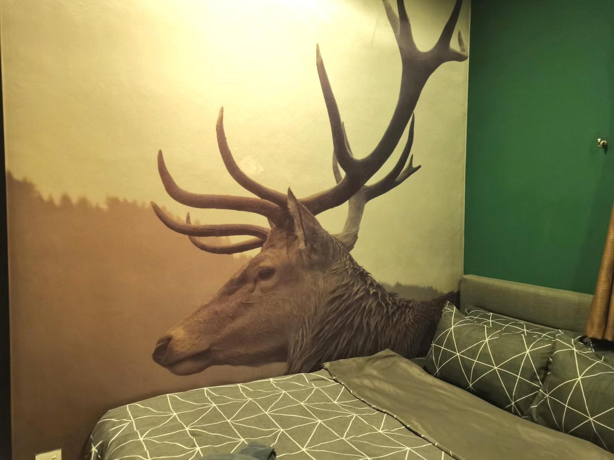 Cozy Forest Themed Homestay 4 Bedroom Kuala Lumpur Buitenkant foto